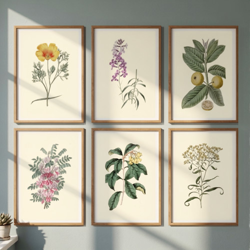 Set vintage botanical art - set, of