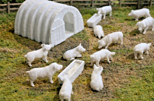 Gauge pig set - pig, 12