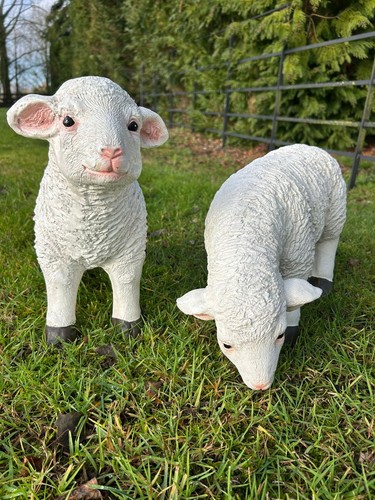 Resin sheep ornaments - resin, lamb
